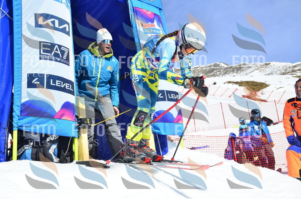 _ELE1019 | holidayphoto