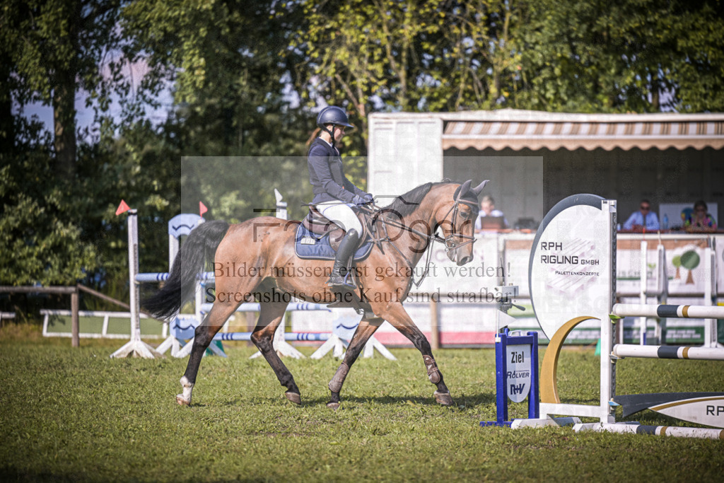 DOS_0211 | Entdecke hochwertige Reitturnierfotos von Foto Oger. Professionell, emotional und authentisch – jetzt Lieblingsmomente im Shop bestellen.Deutschlandweite Turnierfotografie. - Realisiert mit Pictrs.com