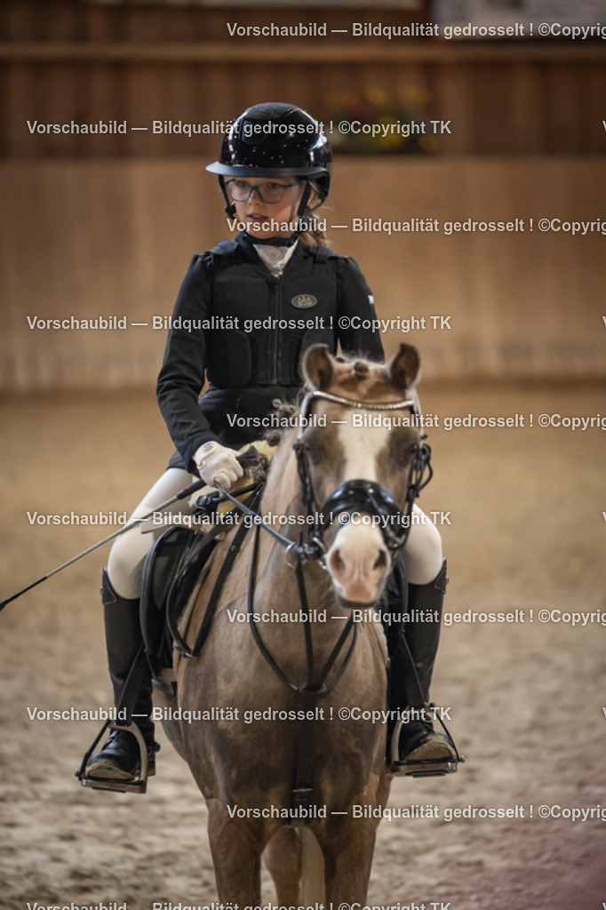 _D5A9964 | Emotionale Pferde- & People-Fotografie rund um Heidelberg, Leimen & Umgebung. Natürliche Fotos von Pferd, Mensch & Familie. Jetzt Termin sichern!