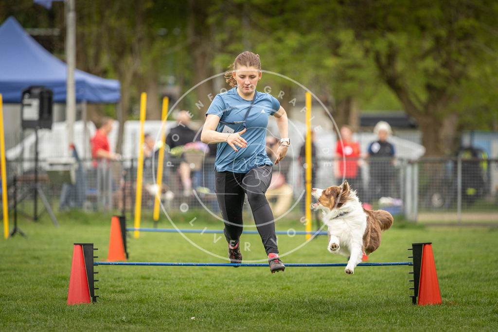 Pfotenfotografie_DV3A0896 | Hundefotografie, Tierfotograf, Pfotenfotografie, Fotoshooting Hund, Hunde Portrait, Hundesport, Hundeportraits, Heideshooting, Hunde, Sportfotograf, Hundefotograf, Turnierhundsport, THS,  - Realisiert mit Pictrs.com