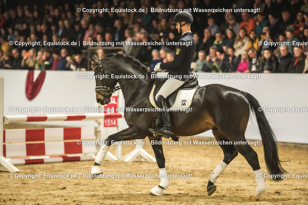 20240302_Hengstvorstellung_Marbach_TOMsPiC_0385 | equistock