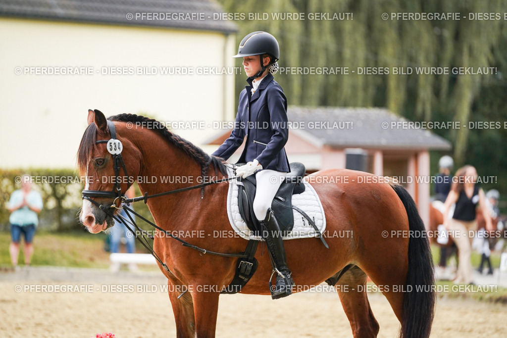 DSC09894 | Pferdegrafie