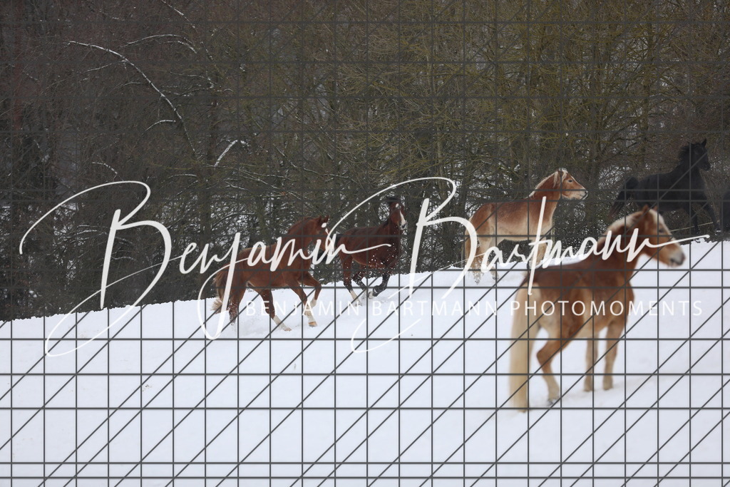 AZ2A3350 | Benjamin Bartmann Photomoments