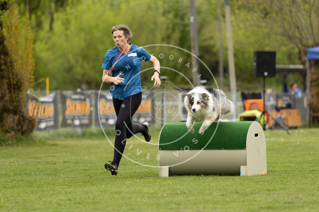 Pfotenfotografie_DV3A9278 | Hundefotografie, Tierfotograf, Pfotenfotografie, Fotoshooting Hund, Hunde Portrait, Hundesport, Hundeportraits, Heideshooting, Hunde, Sportfotograf, Hundefotograf, Turnierhundsport, THS,  - Realisiert mit Pictrs.com