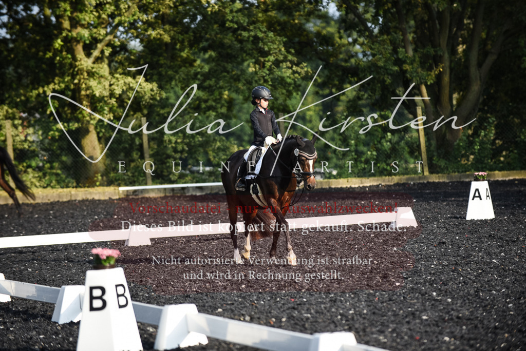 DSC_3504 | Pferde- und Turnierfotografie in Westsachsen. Pferdeportraits, Auftragszeichnungen und intuitive Kunst.
