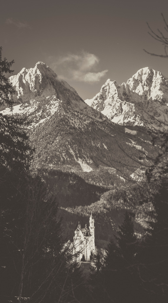 Indi | Michael Helmer - Allgäu Bilder auf Leinwand bestellen