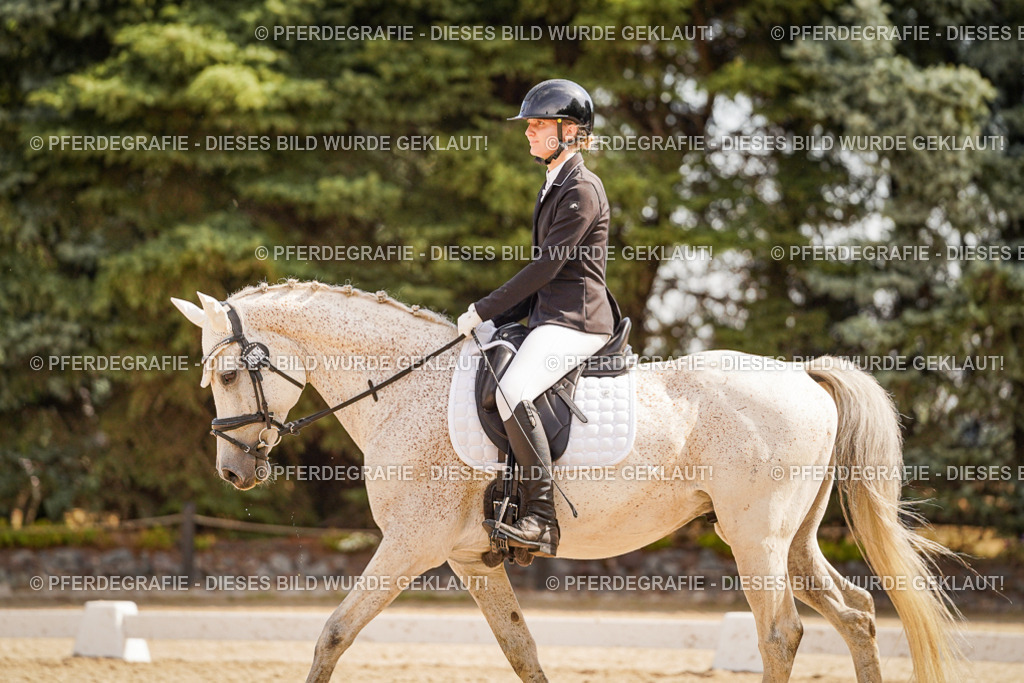 DSC01235 | Pferdegrafie