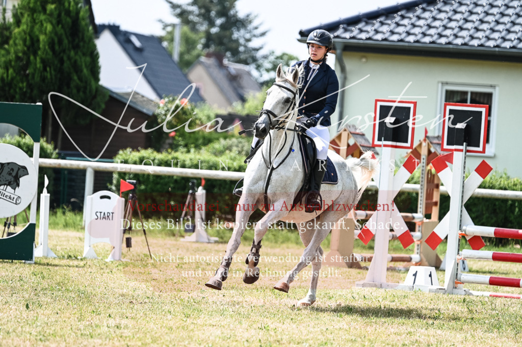 DSC_9228 | Pferde- und Turnierfotografie in Westsachsen. Pferdeportraits, Auftragszeichnungen und intuitive Kunst.