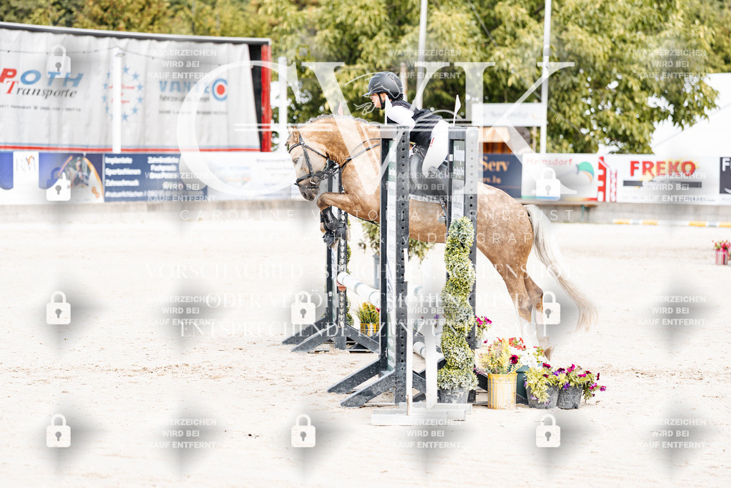 CK906212 | Turnierfotografie Pferdefotografie Trier Rheinland-Pfalz Pferdesport Reitsport Tierfotografie Sportfotografie Pferdevideo Pferdevideografie Equestrianvideography equestrianphotography  - Realisiert mit Pictrs.com