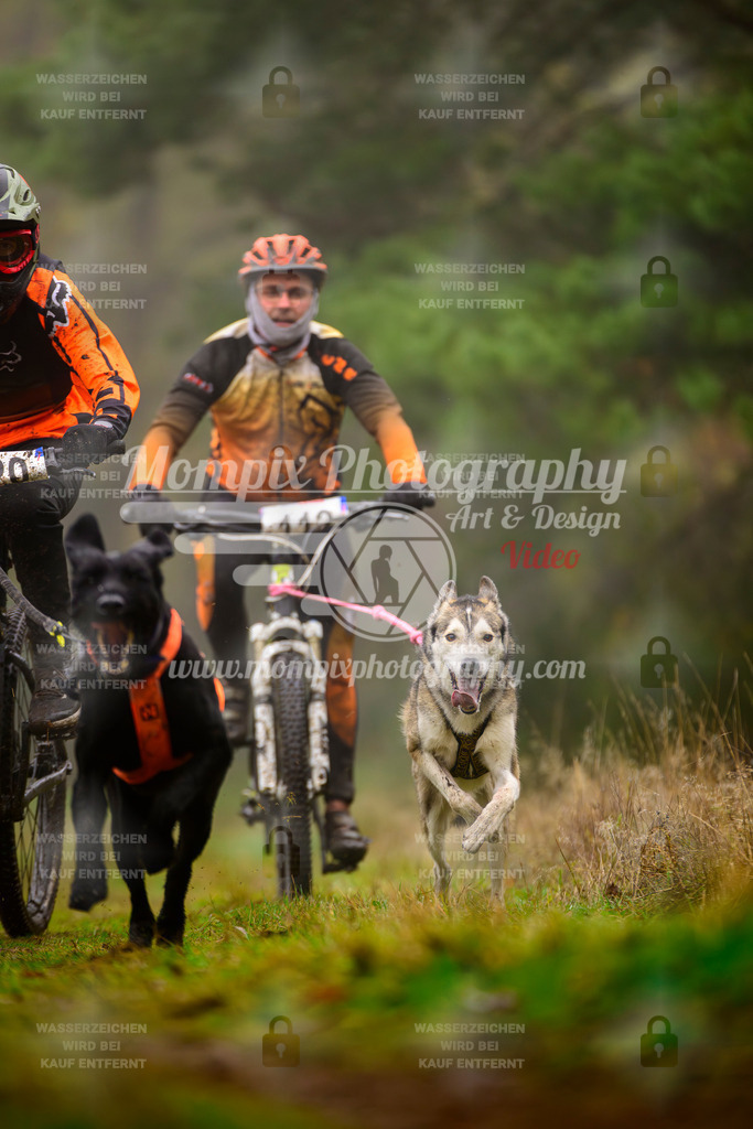 MompixPhotography_Bischwiller2025_Bike-40 | mompixphotography