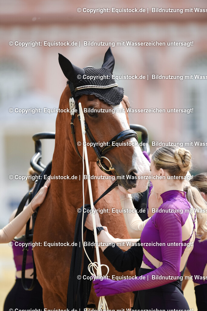 20250608_CVI-Masterclass_1143 | Foto: Thomas Hartig