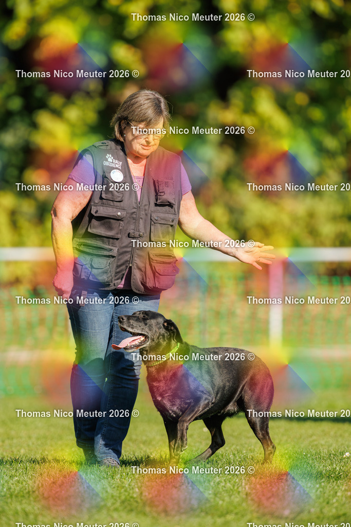 Thomas_Nico_Meuter(C)_04. Oktober 2026_223A1254 | Bild von Thomas Nico Meuter - Realisiert mit Pictrs.com