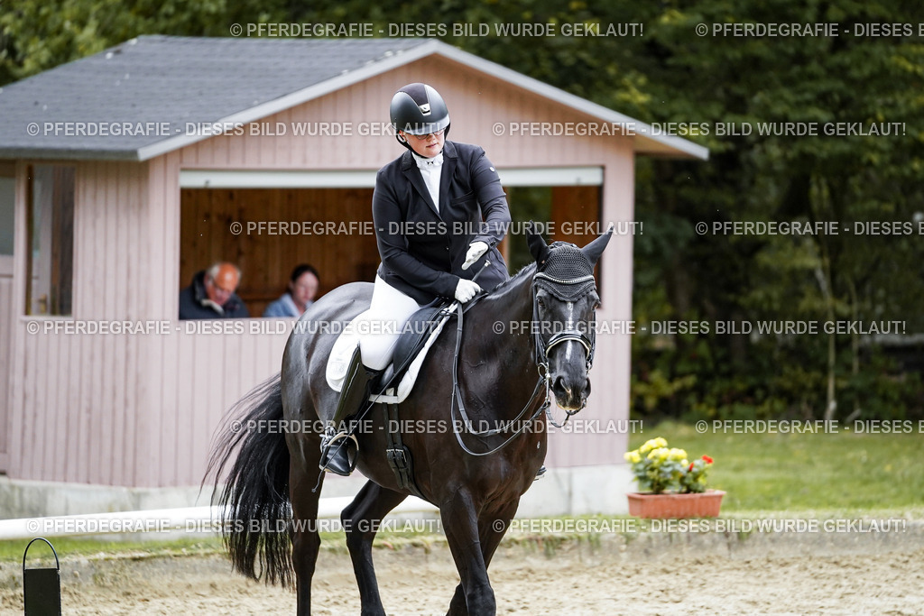 DSC09474 | Pferdegrafie