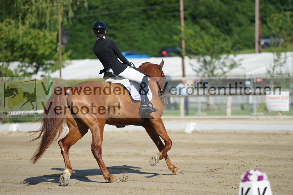 DSC03982 | equestrian-live-com
