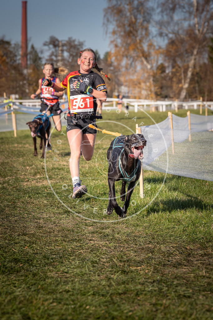 CaniXpix_0L8A7840 | Hundefotografie, Tierfotograf, Pfotenfotografie, Fotoshooting Hund, Hunde Portrait, Hundesport, Hundeportraits, Heideshooting, Hunde, Sportfotograf, Hundefotograf, Turnierhundsport, THS,  - Realisiert mit Pictrs.com