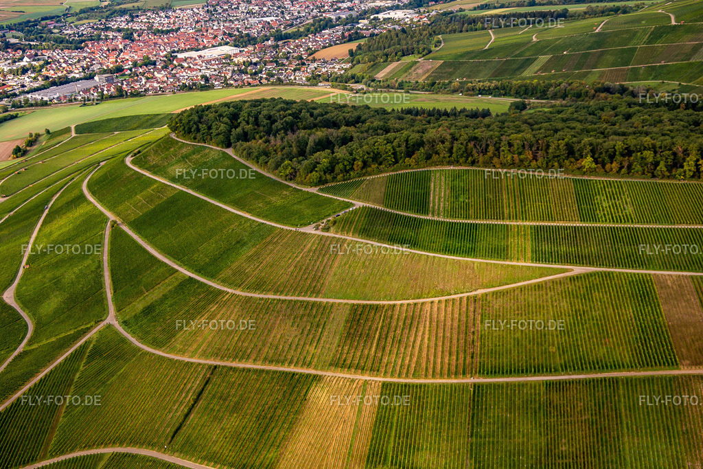 Weinberg Großbottwar | Luftbild: Weinberg Großbottwar im Ortsteil Kleinbottwar in Steinheim im Bundesland Baden-Württemberg in Deutschland. Foto: IMG_138615.jpg vom 16.09.2023 durch ©2025 Werner Riehm fly-foto.de/copyright - Realisiert mit Pictrs.com