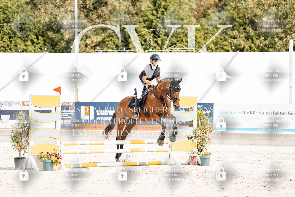 CK906520 | Turnierfotografie Pferdefotografie Trier Rheinland-Pfalz Pferdesport Reitsport Tierfotografie Sportfotografie Pferdevideo Pferdevideografie Equestrianvideography equestrianphotography  - Realisiert mit Pictrs.com