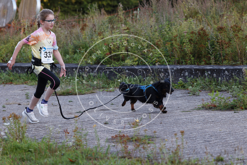 0L8A4254 | Hundefotografie, Tierfotograf, Pfotenfotografie, Fotoshooting Hund, Hunde Portrait, Hundesport, Hundeportraits, Heideshooting, Hunde, Sportfotograf, Hundefotograf, Turnierhundsport, THS,  - Realisiert mit Pictrs.com