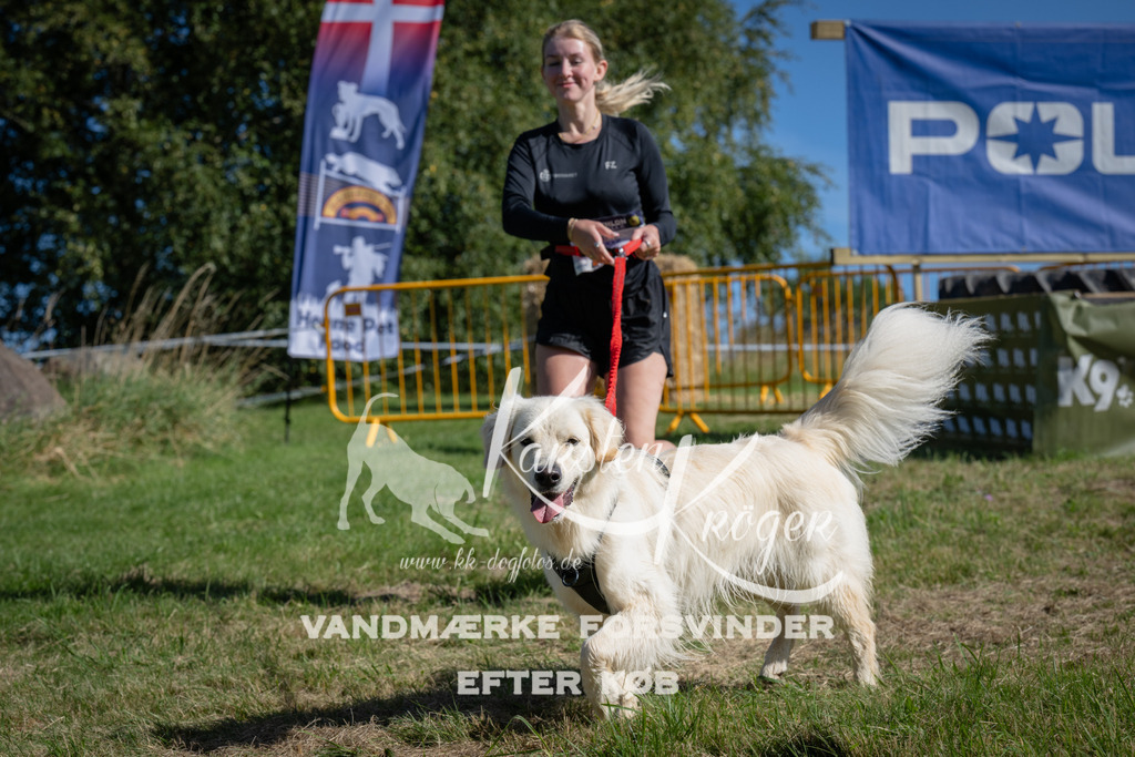 1027_ZZ98723 | kk-dogfotos