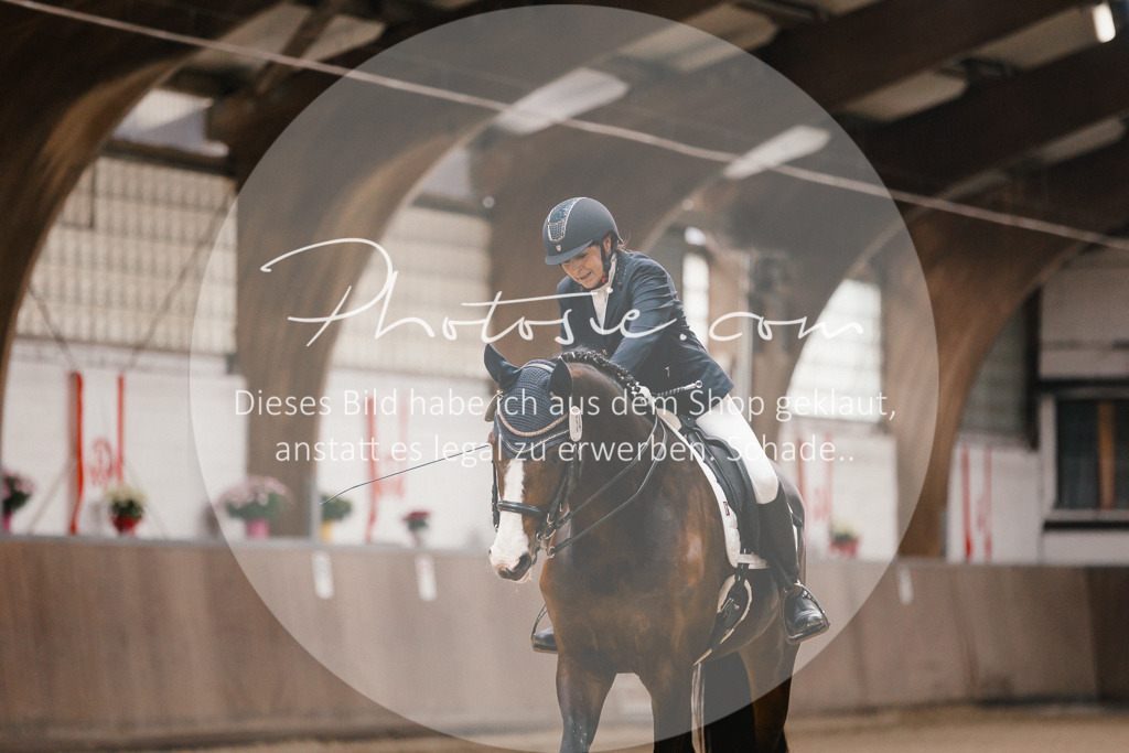 3I6A8644 | Stimmungsvolle Portraits und Reitsportfotografie im Ruhrgebiet und im Münsterland.

Pferdefotografie, Hundefotografie, Tierfotografie, Reportagen, Portraits von Tier und Mensch, Turnierfotografie in Bochum, Recklinghausen, Marl, Haltern am See, Dülmen.. - Realisiert mit Pictrs.com