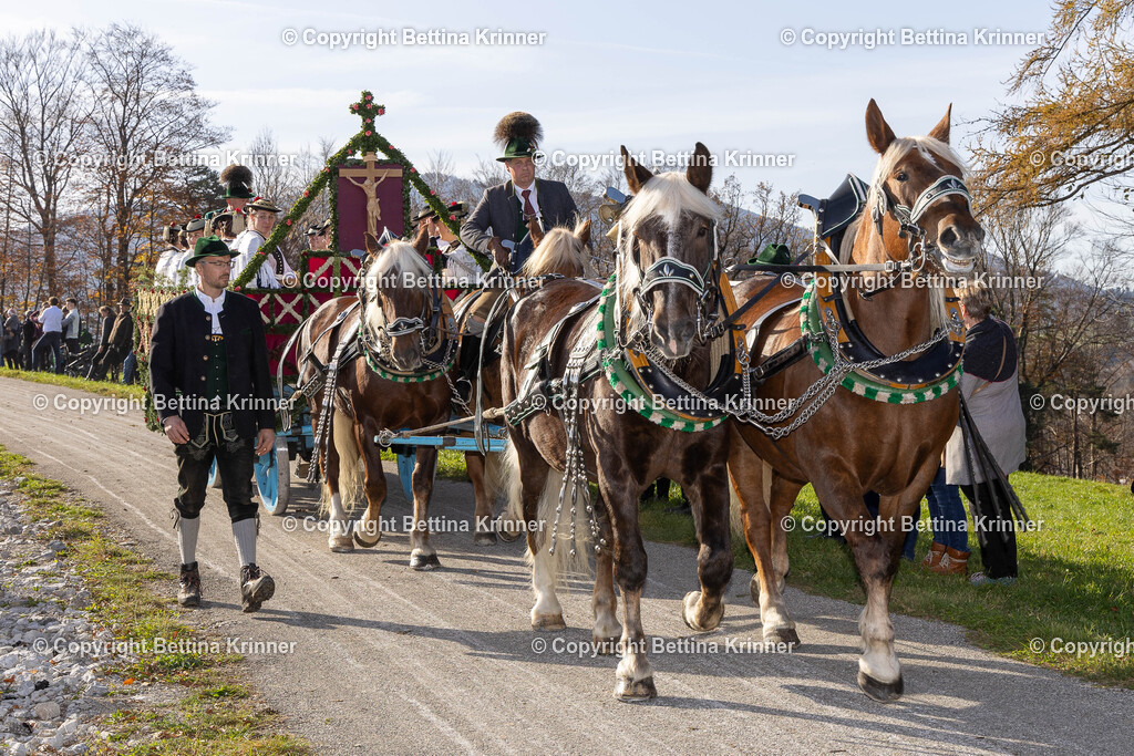 LBT24-1210 | foto-bettina-krinner - Realisiert mit Pictrs.com