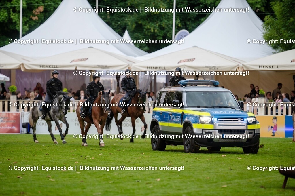 20250606_Lange-Pferdenacht_0726 | Foto: Thomas Hartig
