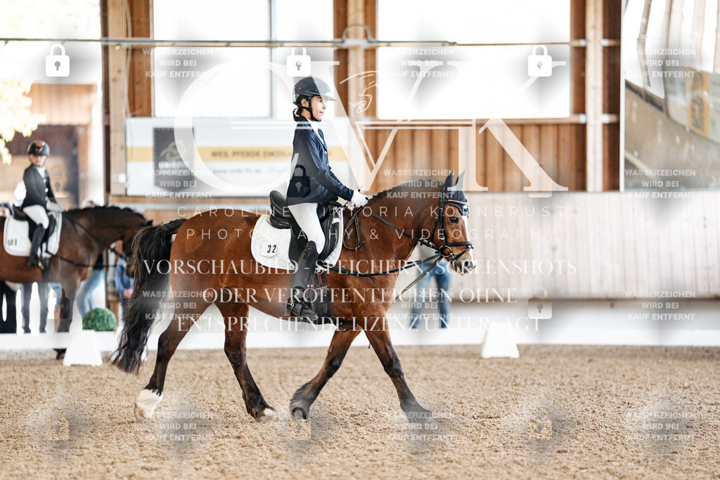 CK908786 | Turnierfotografie Pferdefotografie Trier Rheinland-Pfalz Pferdesport Reitsport Tierfotografie Sportfotografie Pferdevideo Pferdevideografie Equestrianvideography equestrianphotography  - Realisiert mit Pictrs.com