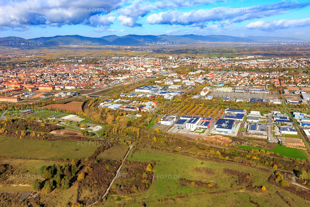 Luftbild: Birnbachpark im Ortsteil Queichheim in Landau im Bundesland Rheinland-Pfalz in Deutschland. Foto: IMG_104334.jpg vom 31.10.2017 durch Werner Riehm/FLY-FOTO.de