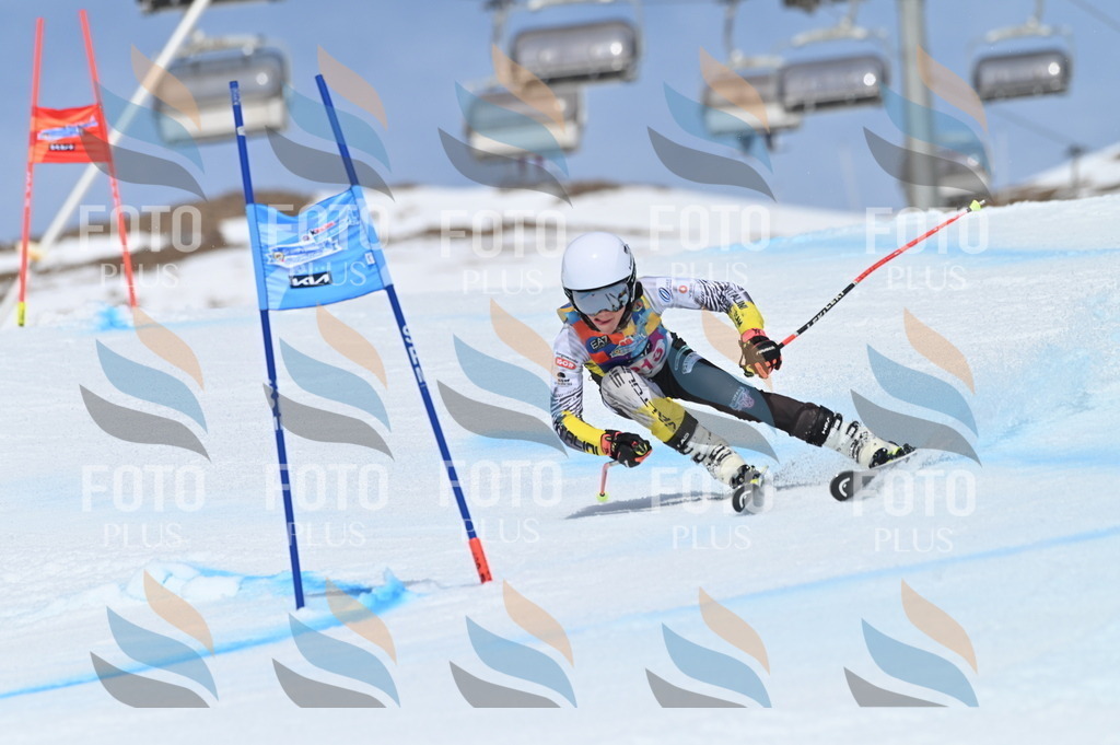 BGV_1182 | holidayphoto