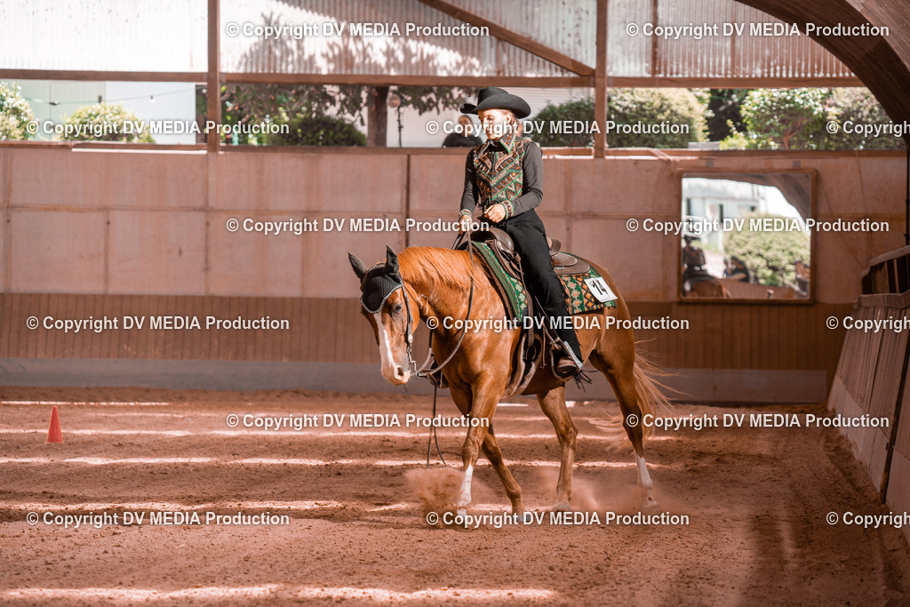 NE300627 | dv-media-shop - Realisiert mit Pictrs.com