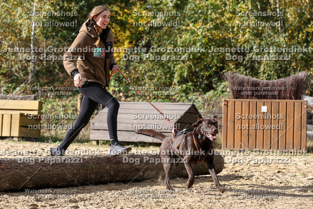 Dog Paparazzi - Strongdog 10-25-5695 | Dog Paparazzi Jeanette Grottendiek Fotografie & Videografie - Realisiert mit Pictrs.com