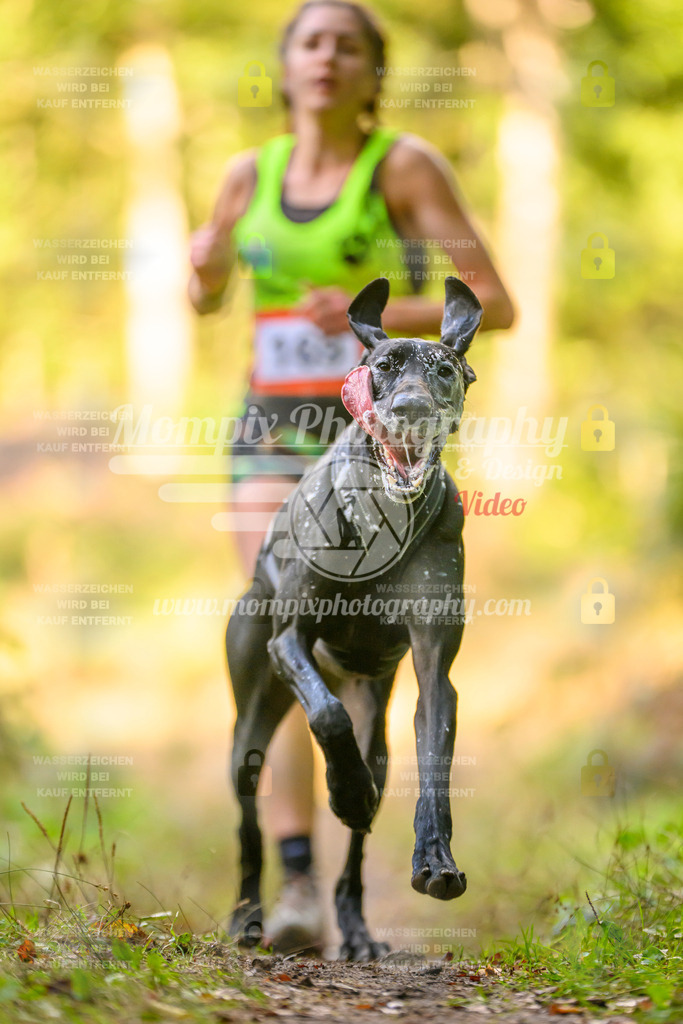 MompixPhotography_Yens2025_B3-192 | PayLife