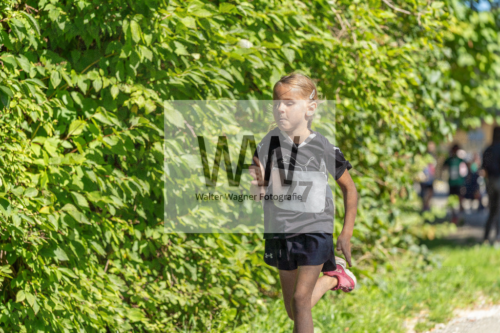 1WW04236 | walter-wagner-fotografie