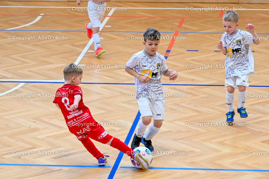 ASVÖ_ Fussball Nachwuchs Hallenturnier 2026_ SV Gallneukirchen_ 28.02.2026-18 | 28.02.2026, Gallneukirchen, AUT, ASVÖ, Fussball Nachwuchs Hallenturnier 2026, SV Gallneukirchen im Bild Teilnehmer U7©Harald Dostal / fodo.media - Realisiert mit Pictrs.com