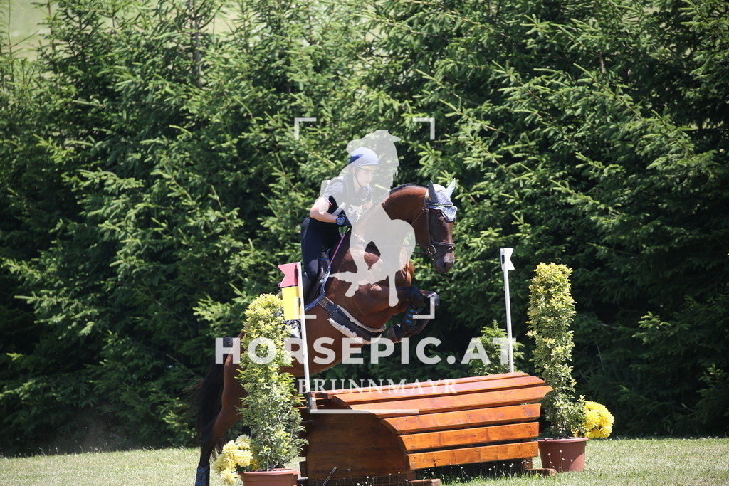 DL2Q1052 | Willkommen bei Brunnmayr - Design & Fotografie – Ihrem Spezialisten für Reitturniere und Pferdeveranstaltungen in Oberösterreich, Salzburg und Bayern! Seit über 17 Jahren sind wir leidenschaftlich dabei.