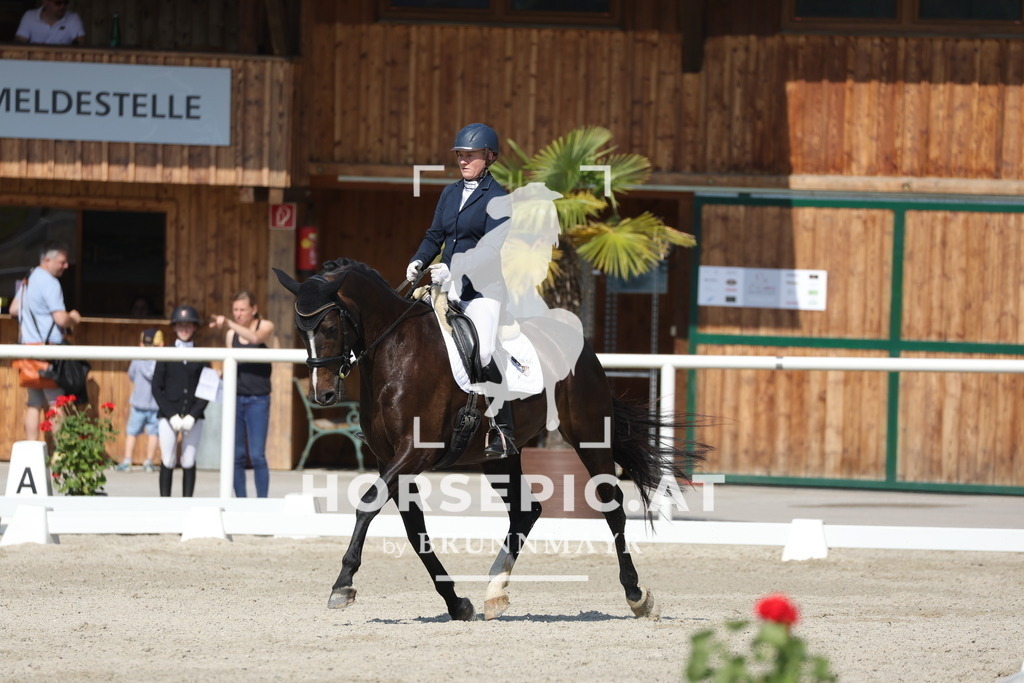 0P6A0377 | Willkommen bei Brunnmayr - Design & Fotografie – Ihrem Spezialisten für Reitturniere und Pferdeveranstaltungen in Oberösterreich, Salzburg und Bayern! Seit über 17 Jahren sind wir leidenschaftlich dabei.