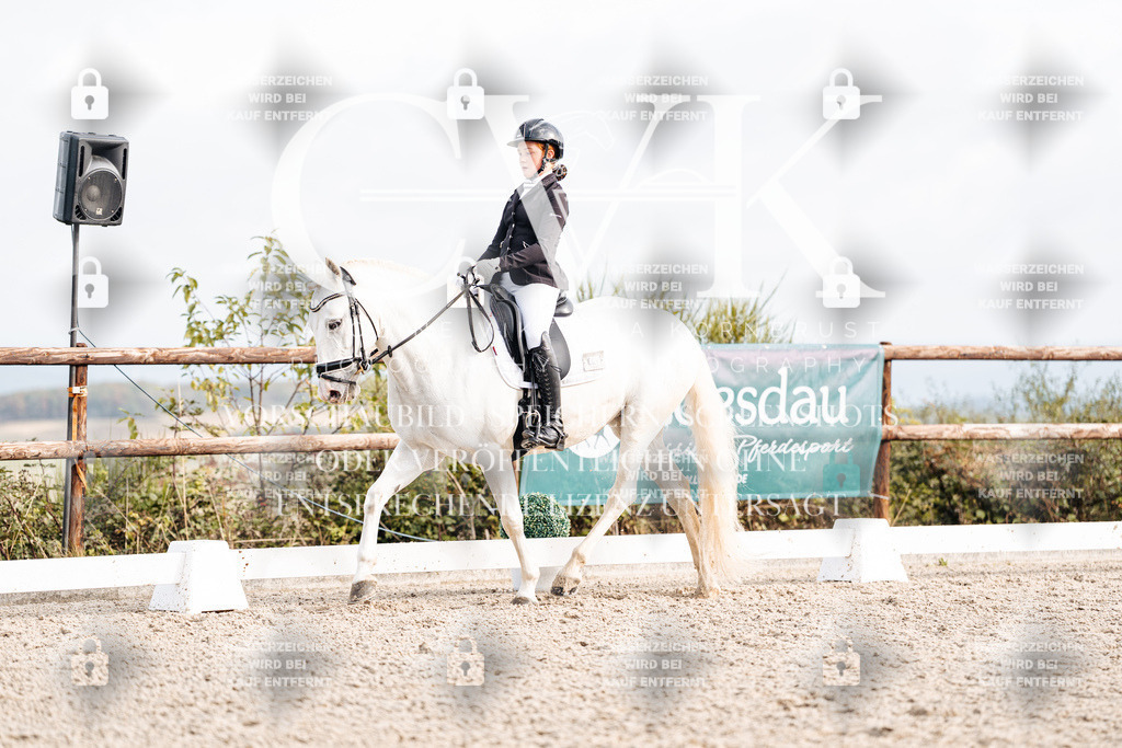 CK901284 | Turnierfotografie Pferdefotografie Trier Rheinland-Pfalz Pferdesport Reitsport Tierfotografie Sportfotografie Pferdevideo Pferdevideografie Equestrianvideography equestrianphotography  - Realisiert mit Pictrs.com