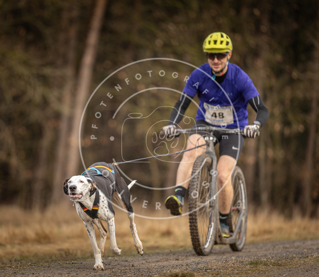 DV3A3416 | Hundefotografie, Tierfotograf, Pfotenfotografie, Fotoshooting Hund, Hunde Portrait, Hundesport, Hundeportraits, Heideshooting, Hunde, Sportfotograf, Hundefotograf, Turnierhundsport, THS,  - Realisiert mit Pictrs.com