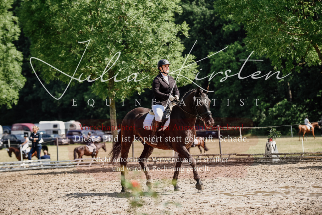 DSC_0183 | Pferde- und Turnierfotografie in Westsachsen. Pferdeportraits, Auftragszeichnungen und intuitive Kunst.
