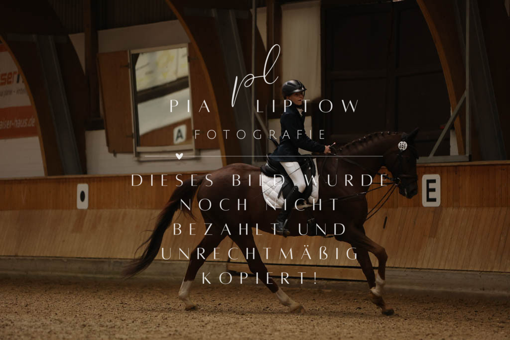 IMGM8744 | pl-fotografie