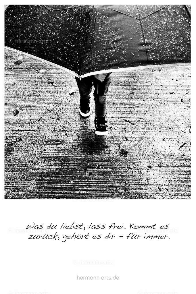 PK_Zitate_10x15_BW-011 | Photo Foto Kunst Art schwarzweiss Bilder Rheine Münster Berlin Blumen 