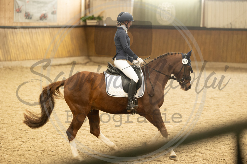 994A4885 | sabrinanicolaifotografie - Realisiert mit Pictrs.com