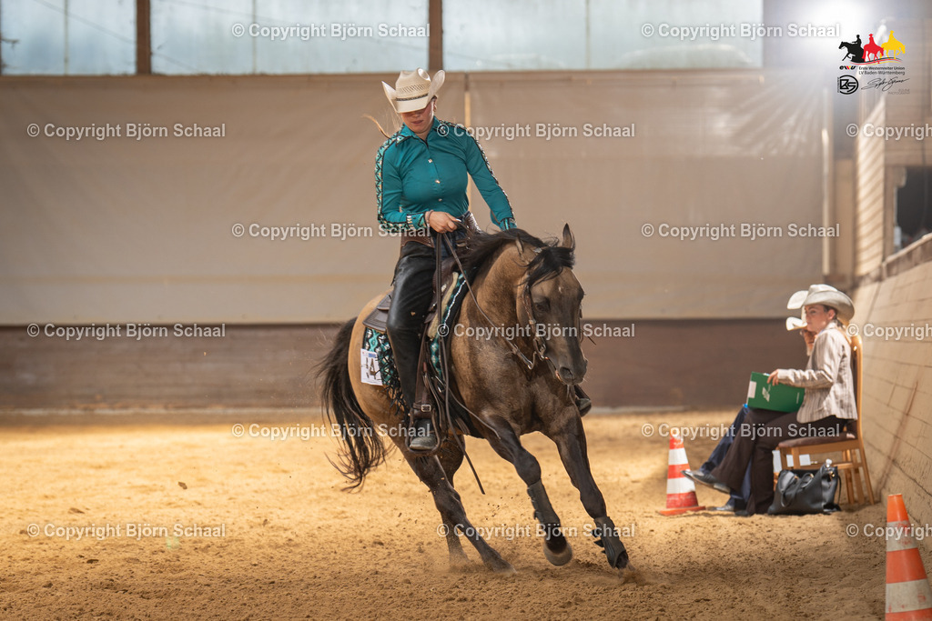 LMS06085 | BS-foto