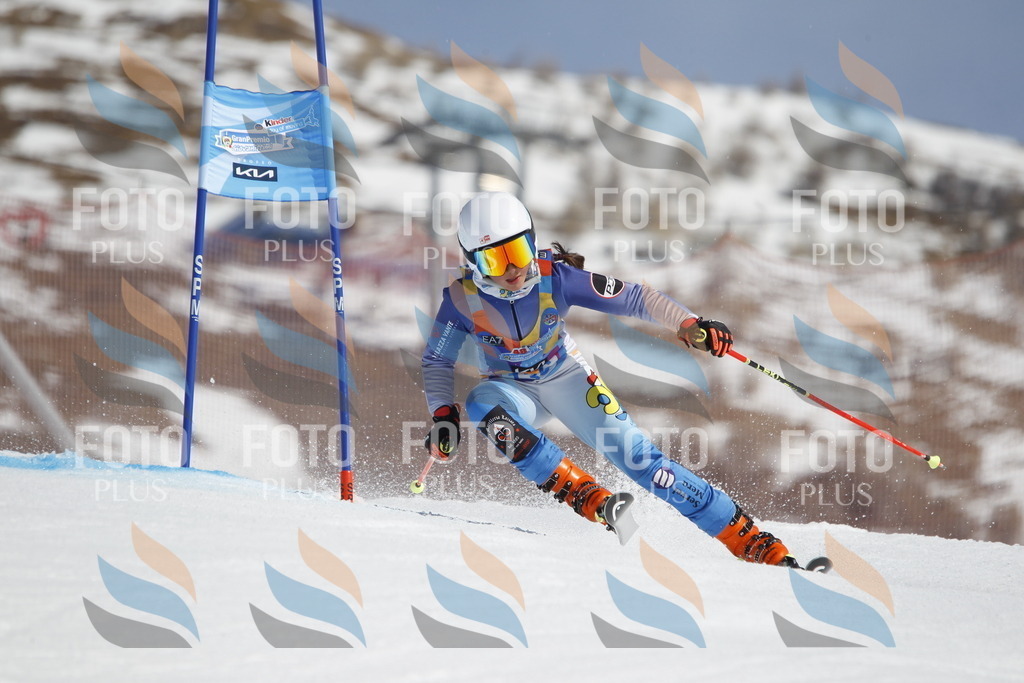 _U3G0968 | holidayphoto