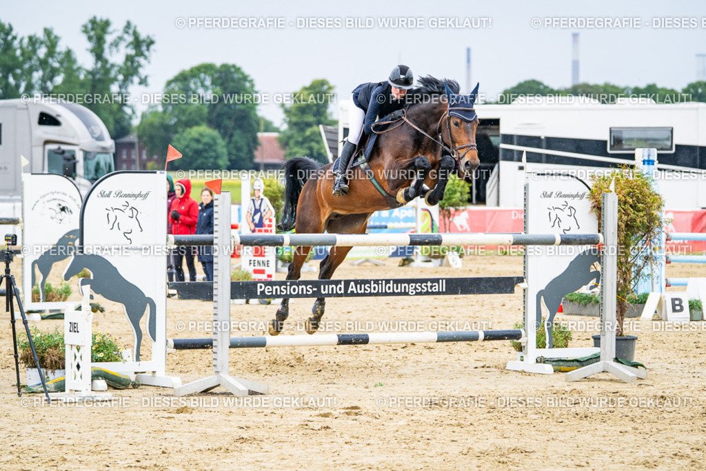 DSC07341 | Pferdegrafie