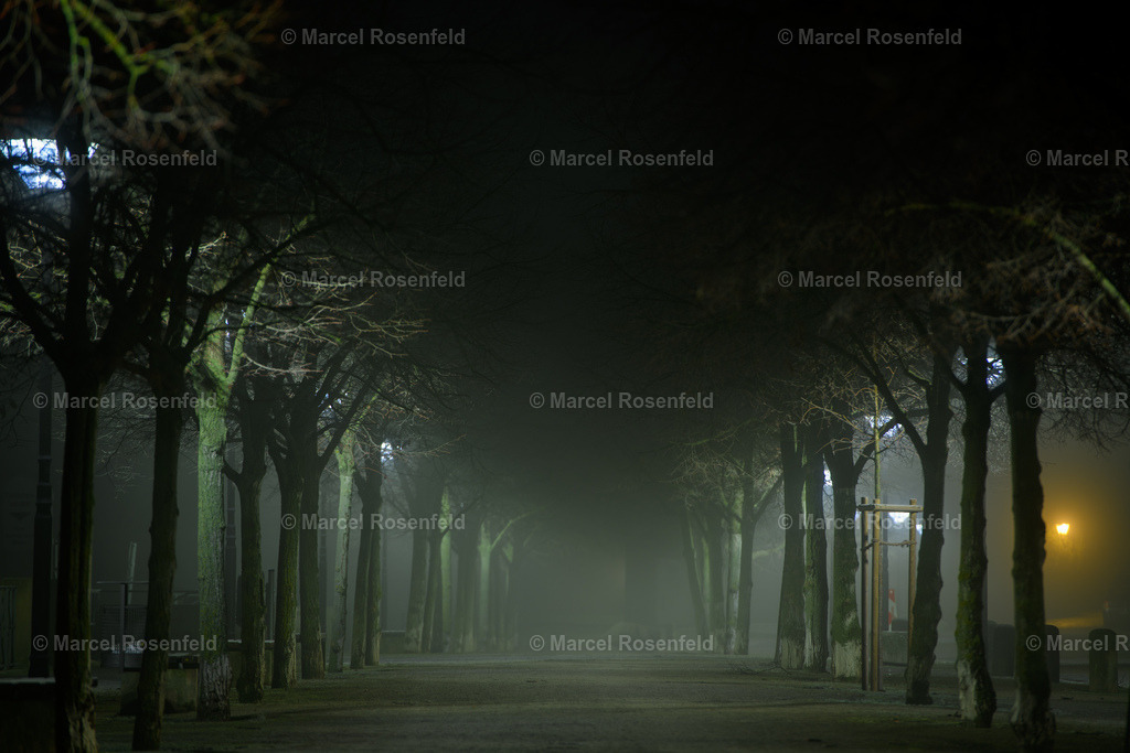 _DSC6154 | foto-rosenfeld