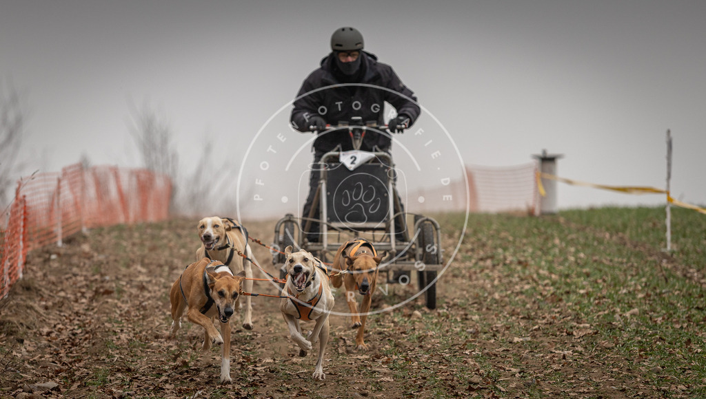 Pfotenfotografie_DV3A4324 | Hundefotografie, Tierfotograf, Pfotenfotografie, Fotoshooting Hund, Hunde Portrait, Hundesport, Hundeportraits, Heideshooting, Hunde, Sportfotograf, Hundefotograf, Turnierhundsport, THS,  - Realisiert mit Pictrs.com