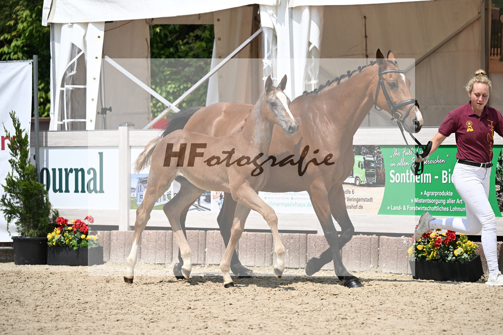 Arezzo Man x Clearway_HF_Maier u Mayerfoels_12250681 | hf-fotografie - Realisiert mit Pictrs.com