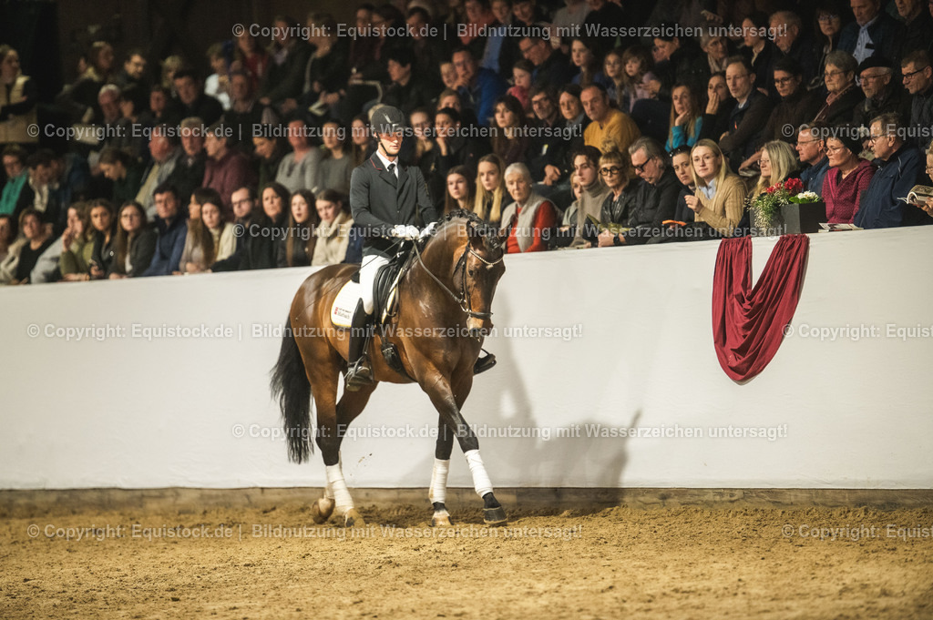 20240302_Hengstvorstellung_Marbach_TOMsPiC_1232 | equistock