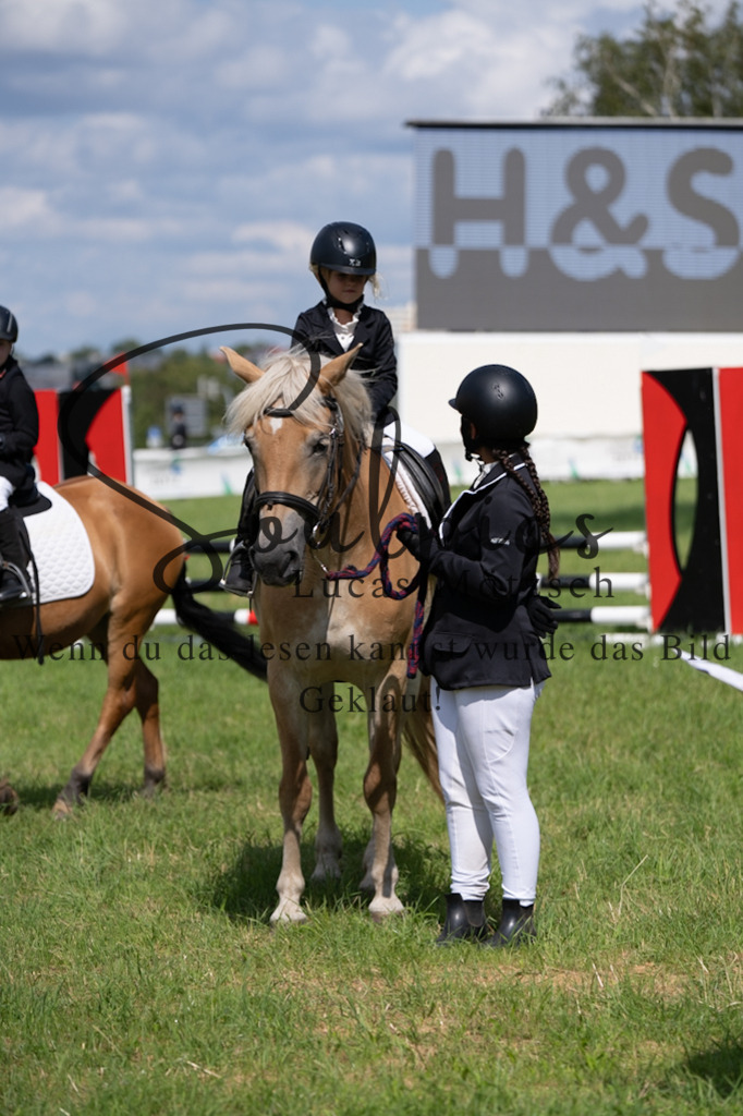 A7V03284 | Pferdefotograf